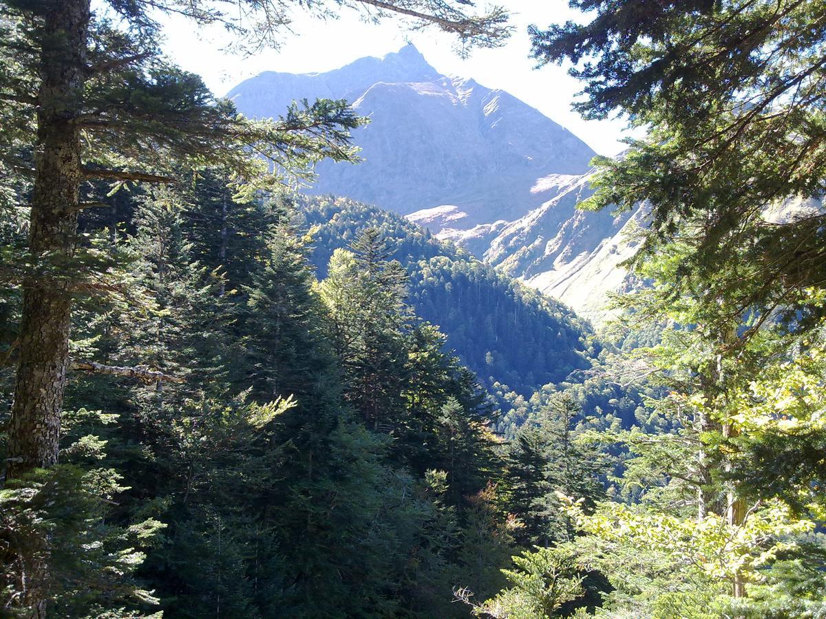 Castel De La Pique Bed & Breakfast Bagneres-de-Luchon Ngoại thất bức ảnh